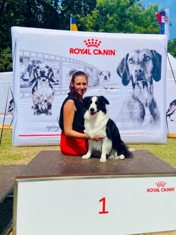 Callisto´s Stars Kennel