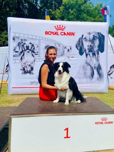Callisto´s Stars Kennel