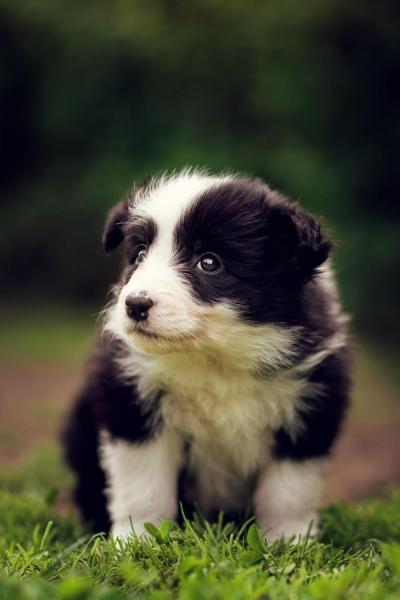 Abby from Callisto´s Stars