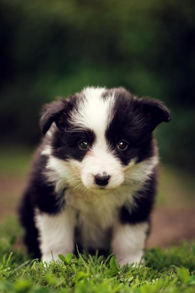 Abby from Callisto´s Stars