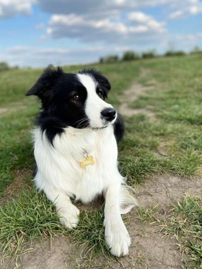 Cali from Comet Valley