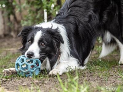 Cali from Comet Valley