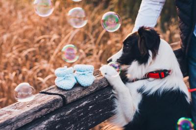 Cali from Comet Valley