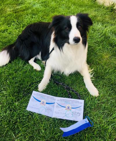 Cali from Comet Valley