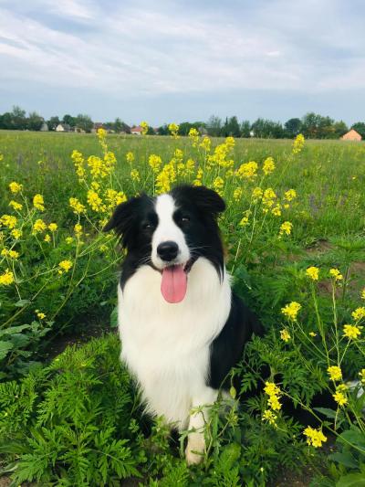 Cali from Comet Valley