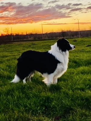 Cali from Comet Valley